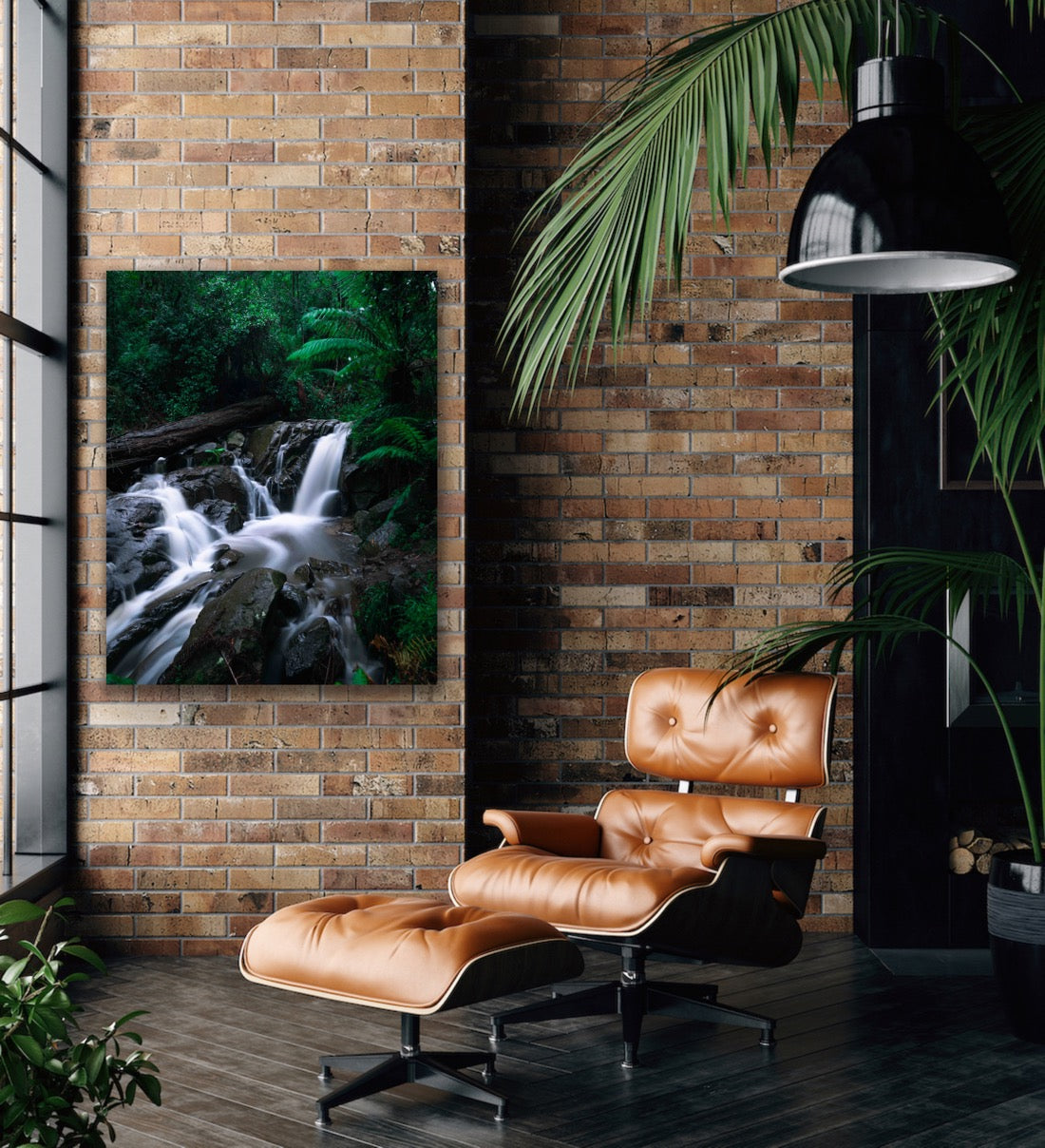 Olinda Falls Mount Dandenong