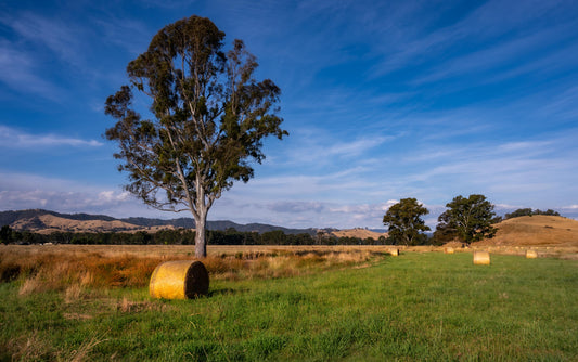 Country landscape day