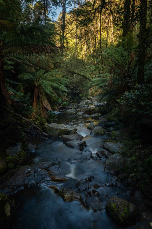 Erskin Falls Lorne Victoria portrait