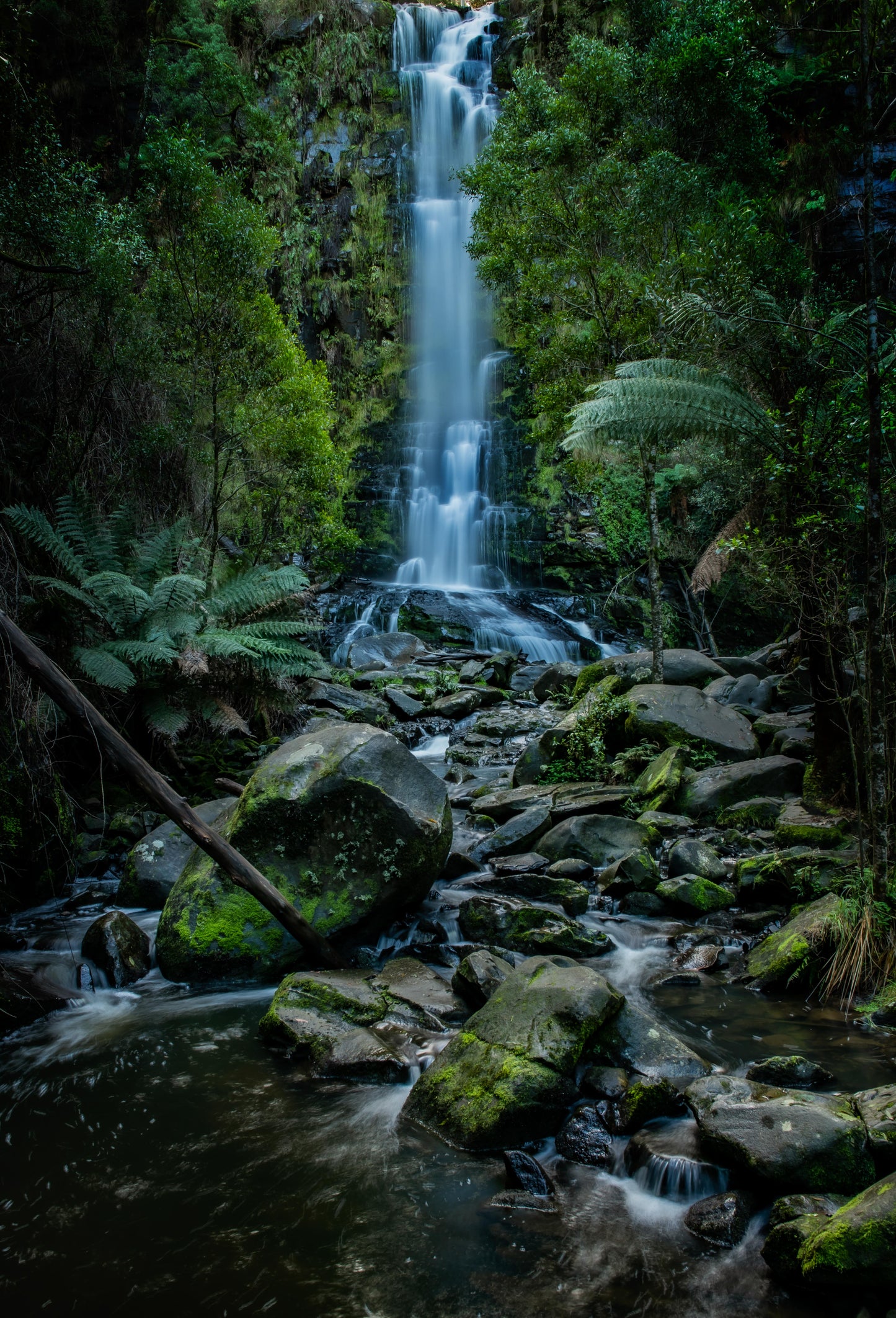 Erskin falls Lorne Victoria portrait 2