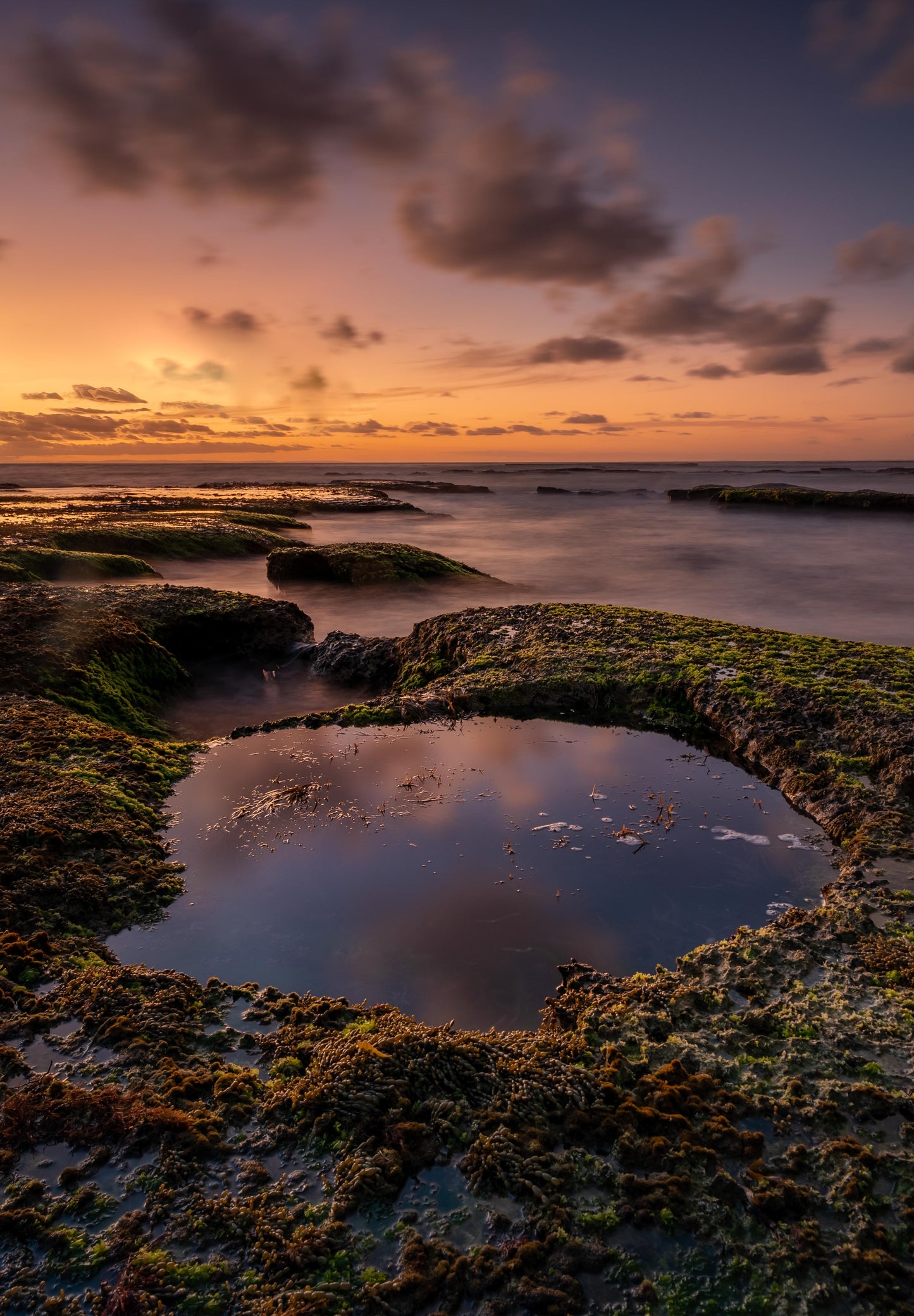 Koonya beach Blairegowrie sunset portrait