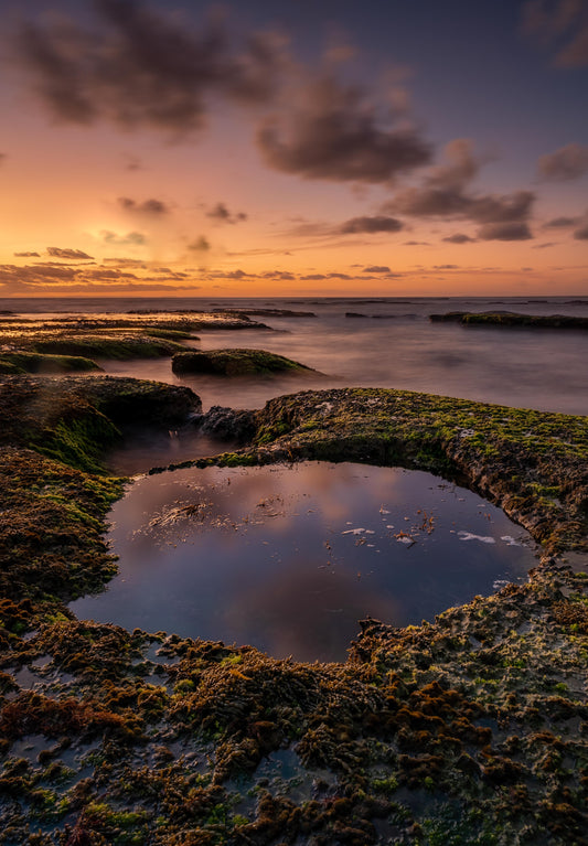 Koonya beach Blairegowrie sunset portrait