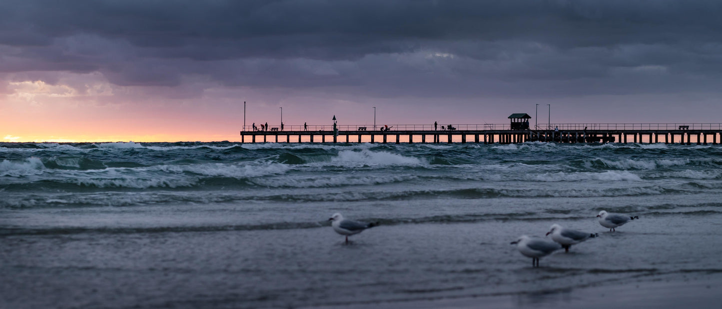 Mordialloc pier sunset