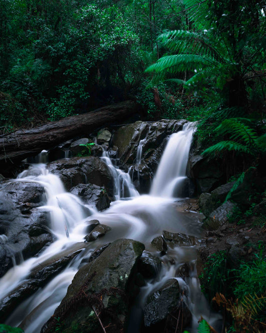 Olinda Falls Mount Dandenong